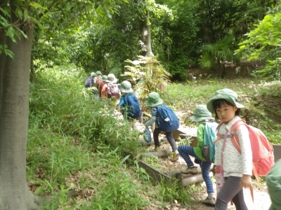 IMGP1796.JPG