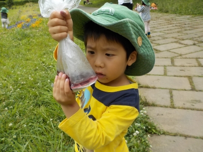 DSCN5483.JPG
