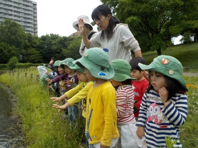 DSCN5474.JPG
