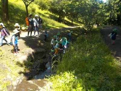 DSCN5541.JPG