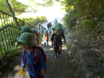 DSCN5542.JPG