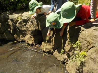 DSCN5605.JPG