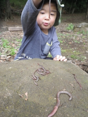 IMGP0364.JPG