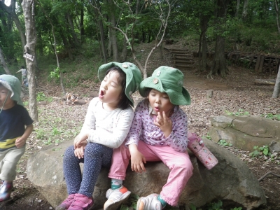 IMGP0400.JPG