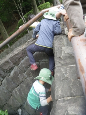 IMGP0414.JPG