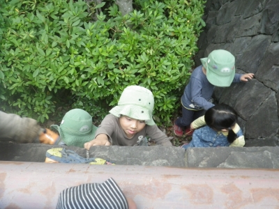 IMGP0416.JPG