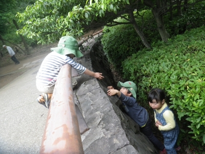 IMGP0423.JPG