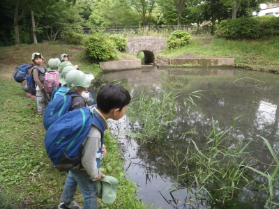 IMGP0453.JPG