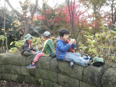 IMGP5904.JPG