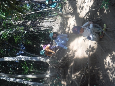 DSCF0339.JPG