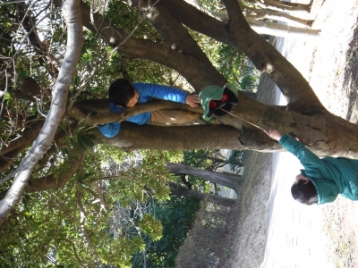 DSCF0406.JPG