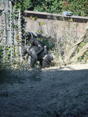 DSCF0674.JPG