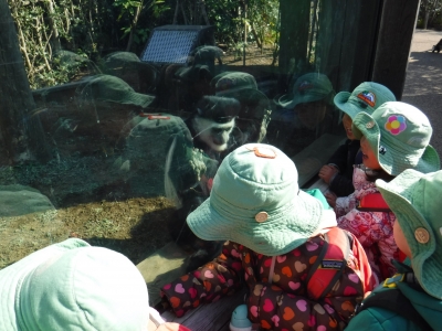 DSCF0679.JPG