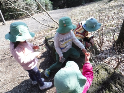 DSCF0742.JPG