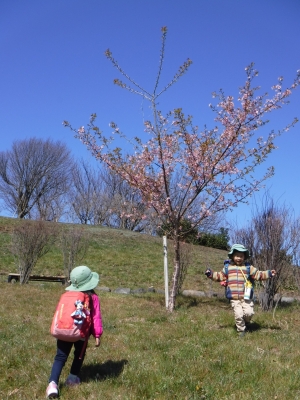 DSCF0762.JPG
