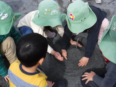 DSCF0856.JPG
