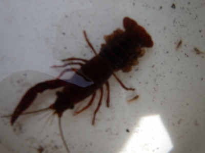 DSCN2278.JPG