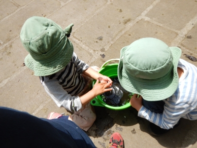 DSCN2382.JPG
