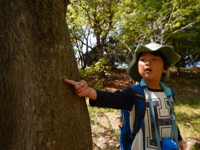 DSCN2612.JPG