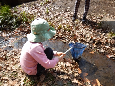 DSCN6166.JPG