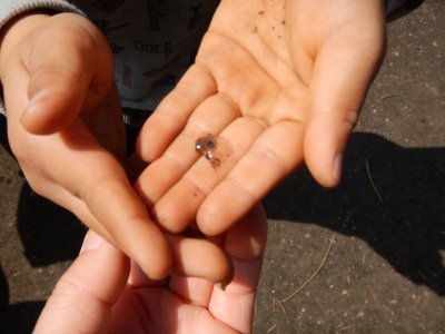 DSCN6173.JPG