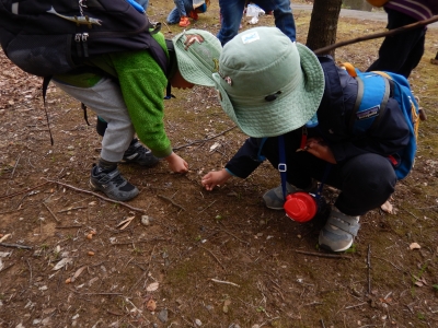 DSCN6234.JPG
