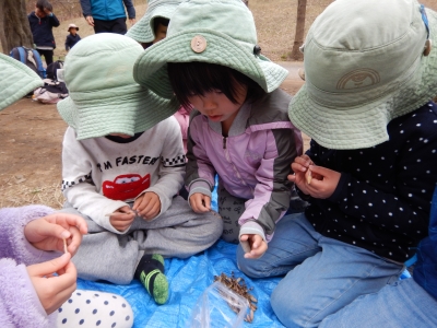 DSCN6236.JPG
