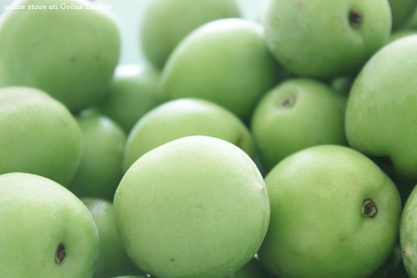 plum2.JPG