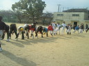 201001161044000.jpg