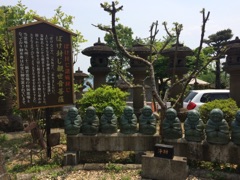 image06.jpg