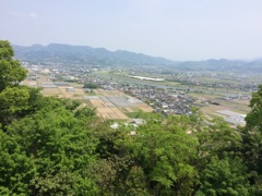 image12.jpg