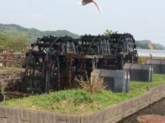 image16.jpg