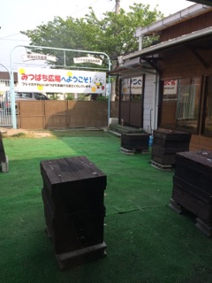 image18.jpg