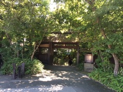image05.jpg