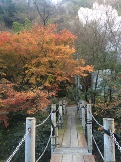 image09.jpg