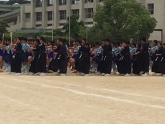 image11.jpg