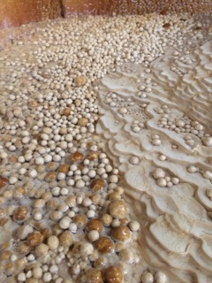 image14.jpg