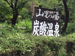 image13.jpg