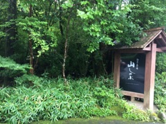 image23.jpg