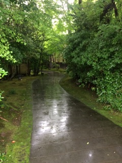 image24.jpg
