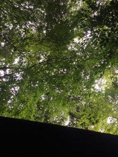 image30.jpg