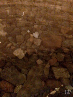 image06.jpg