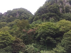 image18.jpg