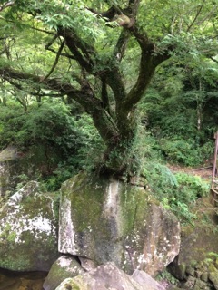 image20.jpg