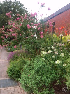 image08.jpg