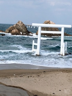 image14.jpg