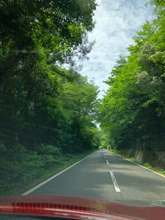 image05.jpg