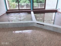 image15.jpg
