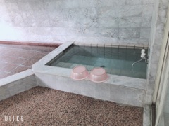 image16.jpg
