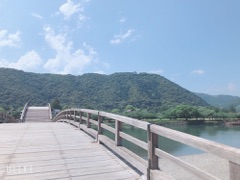 image11.jpg